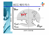 CGV의 마케팅전략-19