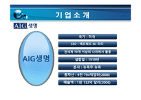 [서비스마케팅] 삼성생명 VS AIG생명-8