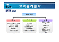 [서비스마케팅] 삼성생명 VS AIG생명-17
