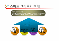 [디지털 상거래] 스마트 그리드의 마케팅활용 미래-11