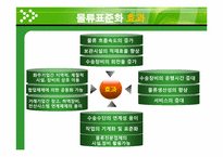 물류경영시스템 인증제 -물류표준화 실태 및 사례-13