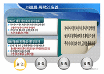 바트화의 폭락과 아시아의 외환위기-3