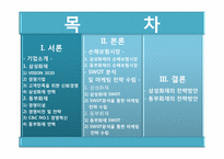 [마케팅전략] 삼성화재, 동부화재 SWOT 분석 및 마케팅 전략 수립-2