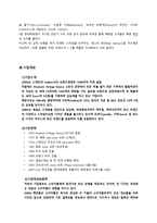 [전략경영] SPA 브랜드 ZARA 자라 기업분석-4