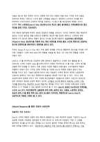[전략경영] SPA 브랜드 ZARA 자라 기업분석-14