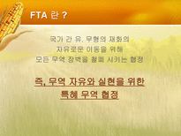 한국의 FTA전망 레포트-3