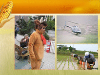한국의 FTA전망 레포트-7