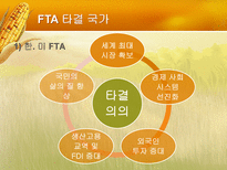 한국의 FTA전망 레포트-8