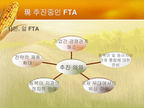 한국의 FTA전망 레포트-12