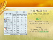 한국의 FTA전망 레포트-13
