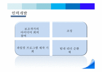 [인적자원관리] TV시트콤 작가의 HRM시스템 설계하기-8