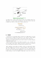 [유체이동현상] Fluid Mechanics와 육해공 교통기관-6