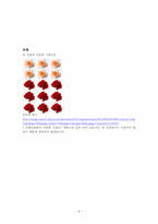 [발달심리] 전조작기 아동과 구체적 조작기 아동의 범주화유무에 따른 유목포함과제 수행 능력의 차이-9
