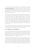 `원더걸스` 팬덤과 인디밴드 문화 연구를 통한 대중문화의 다양성 고찰-13