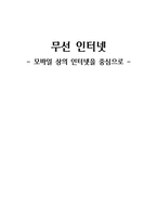 무선 인터넷 -모바일 상의 인터넷을 중심으로-1