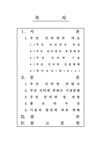 무선 인터넷 -모바일 상의 인터넷을 중심으로-2