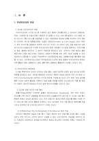 무선 인터넷 -모바일 상의 인터넷을 중심으로-3