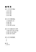 강원도 장애인 IT경진대회 평가분석 및 개선방안-2