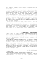 [국제협상론] 북아일랜드의 평화 정착 노력과 벨파스트 협정 타결-15
