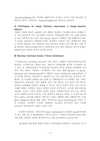 스웨덴 탈석유화를 통해서 바라보는 한국의 친환경 미래-10