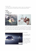 유머광고 레포트-4