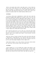 포에니 전쟁을 통해 본 로마의 변화-13
