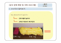 [아동건강교육] 청소년을 대상으로 섭식장애에 대한 프로그램 개발하기-16