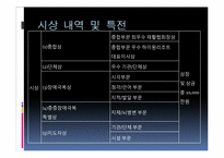 강원도 장애인 IT경진대회 평가분석 및 개선방안-19