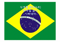 [음식문화] 브라질 음식점 `이빠네마`-1