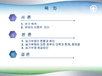 농촌부채의 문제점과 해결방안(정부대책의 문제점)-2