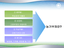 농촌부채의 문제점과 해결방안(정부대책의 문제점)-4