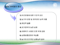 농촌부채의 문제점과 해결방안(정부대책의 문제점)-13
