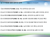 농촌부채의 문제점과 해결방안(정부대책의 문제점)-15