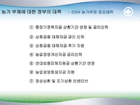 농촌부채의 문제점과 해결방안(정부대책의 문제점)-18