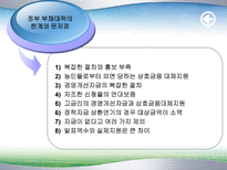 농촌부채의 문제점과 해결방안(정부대책의 문제점)-19