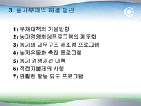 농촌부채의 문제점과 해결방안(정부대책의 문제점)-20