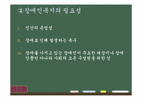 장애여성과 이중차별-10