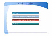 바이오 에너지 레포트-2