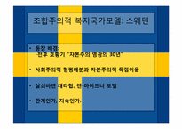 [비교정치] 스웨덴 국가 모델-3