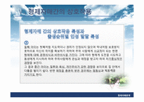 [가족관계] 형제자매 관계-17