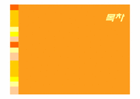 이혼가족 문제점 및 대안-2