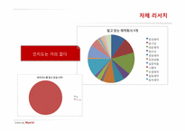 제약회사 와이어스 PR 전략-9