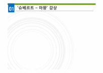 [독일문화] 낭만주의 음악-16