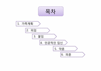 약혼과 가족계획-2