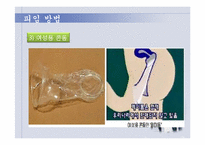 약혼과 가족계획-10