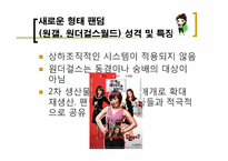 `원더걸스` 팬덤과 인디밴드 문화 연구를 통한 대중문화의 다양성 고찰-9
