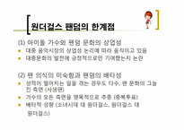 `원더걸스` 팬덤과 인디밴드 문화 연구를 통한 대중문화의 다양성 고찰-16
