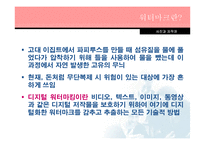 사진과 저작권 레포트-19