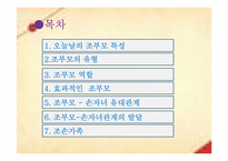 조손관계 레포트-2