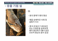 용의 기원과 문화, 그리고 사유체계-8